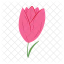 Tulipa Flor Floral Ícone