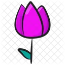 Tulipa Flor Flor Icon