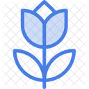 Tulipan Tulipanes Flor Icon