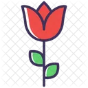 Tulipan Icon