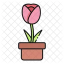 Tulipan Naturaleza Flor Icon