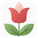 Tulipán  Icono