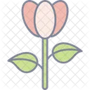 Tulipan Flor Florecer Icon