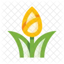 Naturaleza Flor Tulipan Icon