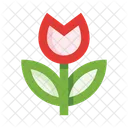 Naturaleza Flor Tulipan Icon