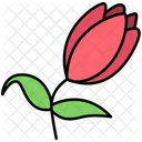 Tulipan Floral Flor Icon