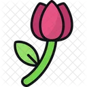 Tulipan Flor Jardin Icon