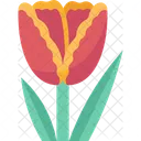 Flor de tulipán  Icono