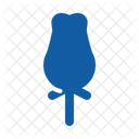 Rosa Tulipan Flor Icon
