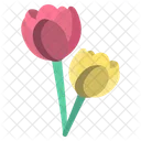 Tulipanes  Icon