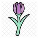 Tulipa Flor Botanico Icon