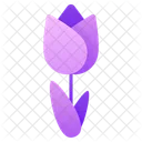 Tulips Flowers Blossom Icon