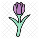 Tulip Flower Botanical Icon