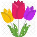 M Tulips Icon