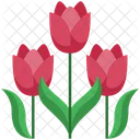 Tulips Flower Flowers Icon
