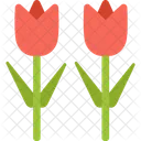 Tulips Icon
