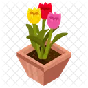 Tulips  Icon
