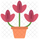 Tulips Plant  Icon