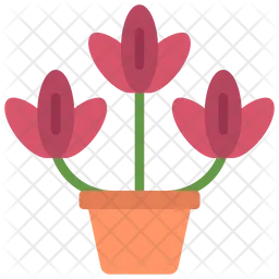 Tulips Plant  Icon