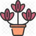 Tulips Plant  Icon