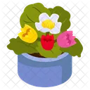 Tulips Pot  Icon