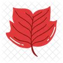 Leaf Ash Leaf Beech Leaf Icon