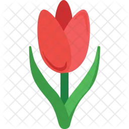 Tulpe  Symbol