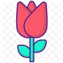 Tulpe  Symbol