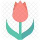 Tulpe Rose Blume Symbol