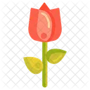 Tulpe Blume Pflanze Symbol