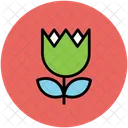 Tulpe Blume Kreativ Symbol