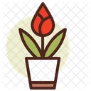 Tulpe Symbol