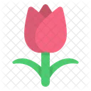 Tulpe  Symbol