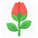 Tulpe  Symbol