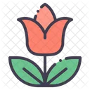 Tulpe  Symbol