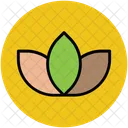 Tulpe Knospe Blume Symbol