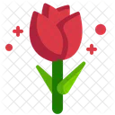 Tulpe  Symbol