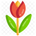 Tulpe  Symbol