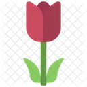 Tulpe  Symbol