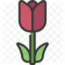 Tulpe  Symbol