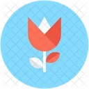 Tulpe Knospe Blume Symbol