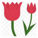 Tulpe Blume Duft Symbol