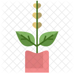 Tulsi Plant  Icon