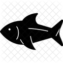 Tuna Large Fish Ocean Catch Icon