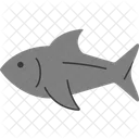 Tuna Large Fish Ocean Catch Icon