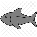 Tuna Large Fish Ocean Catch Icon
