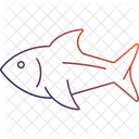 Tuna Large Fish Ocean Catch Icon