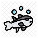 Tuna Fish Tuna Fish Icon