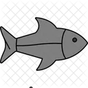 Tuna Fish Tuna Icon Canned Fish Icon