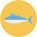 Tuna Fish Food Icon